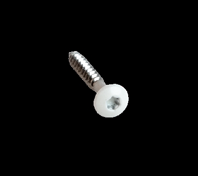Vis blanches 4,0 x 30 mm TX20 - 50 pcs